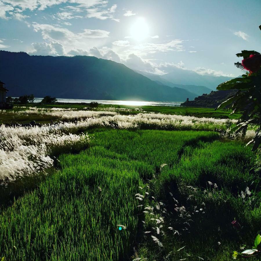 Bishnu Homestay Ποκάρα Εξωτερικό φωτογραφία